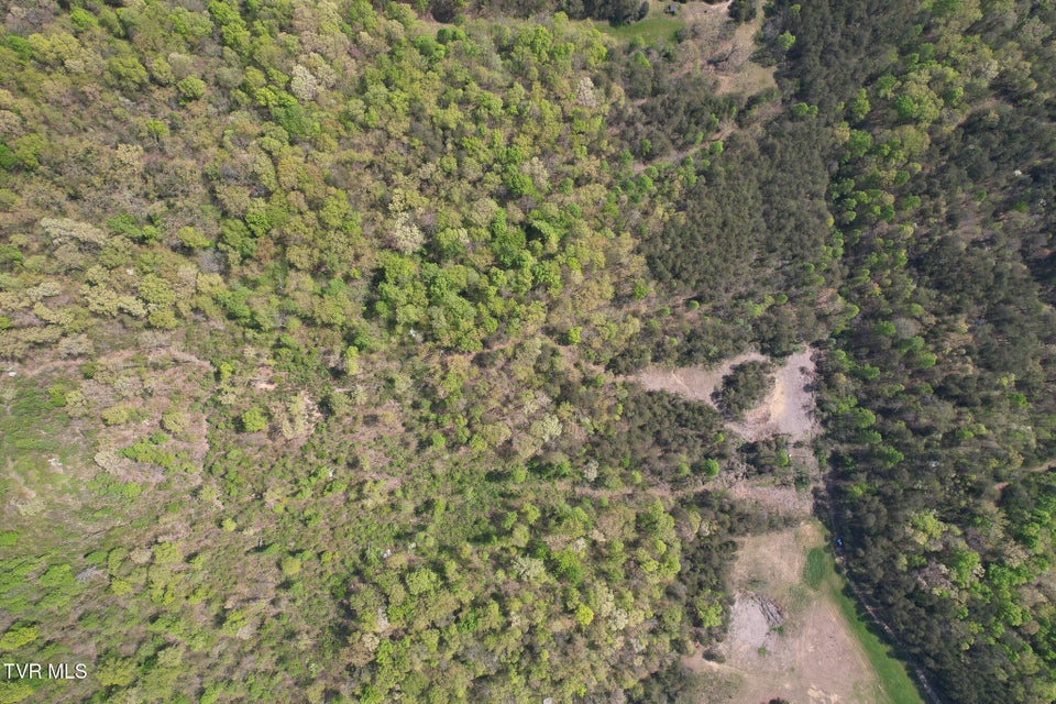 Photo #7: 0 Coy Bradley Lane