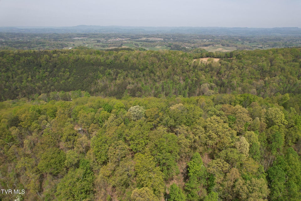 Photo #8: 0 Coy Bradley Lane