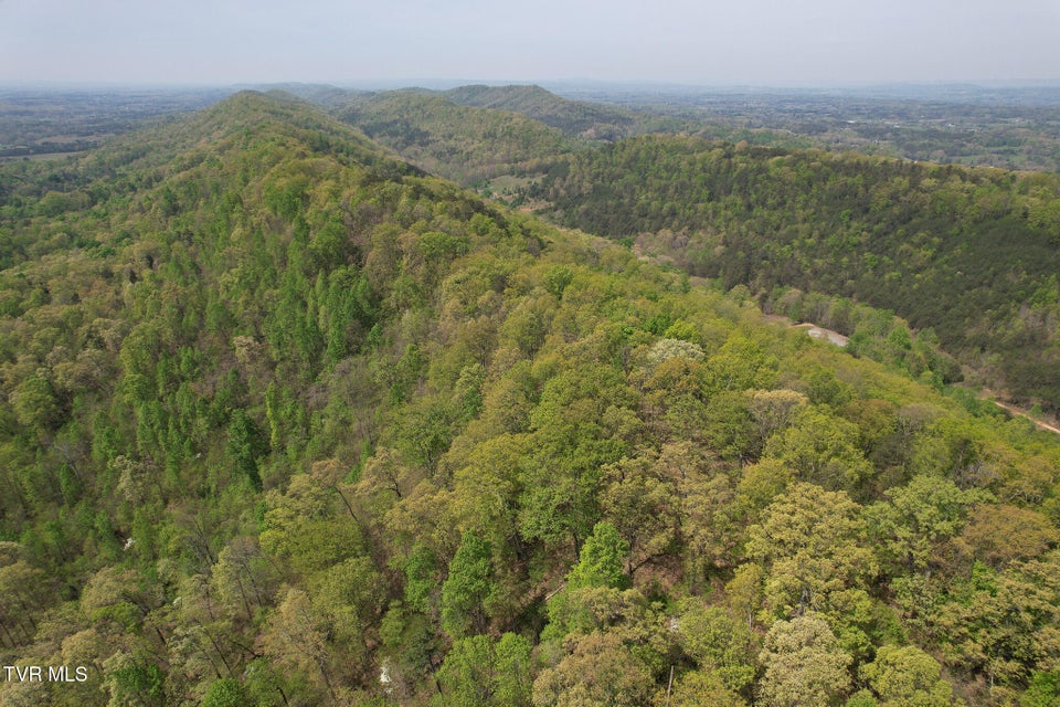 Photo #9: 0 Coy Bradley Lane