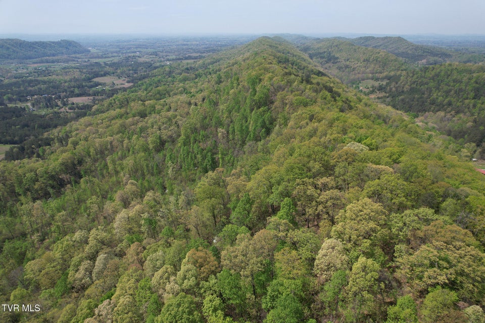 Photo #10: 0 Coy Bradley Lane