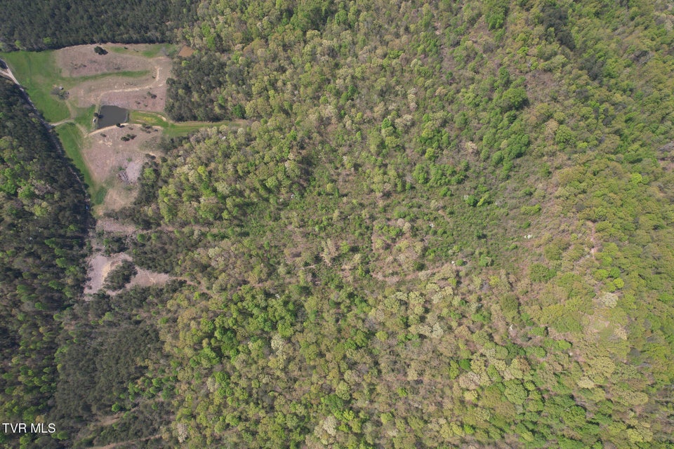 Photo #11: 0 Coy Bradley Lane