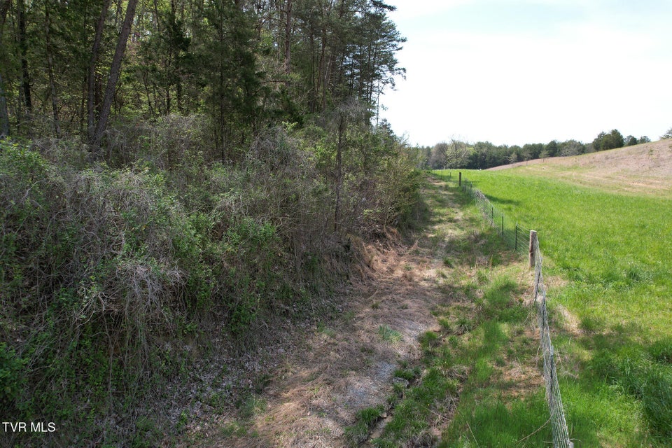 Photo #13: 0 Coy Bradley Lane