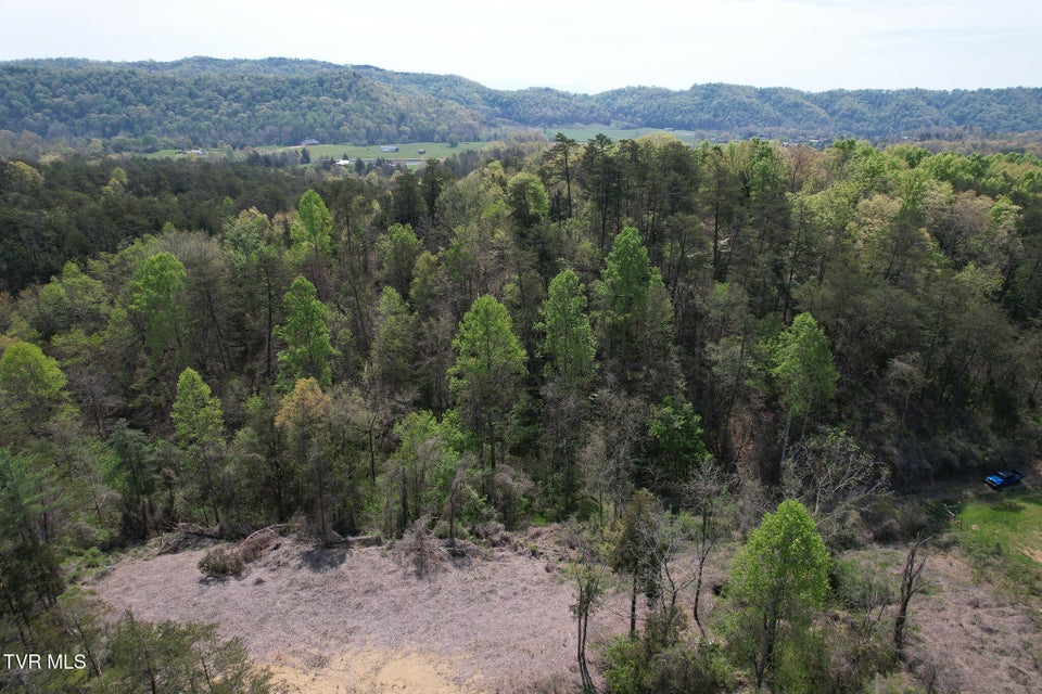 Photo #14: 0 Coy Bradley Lane