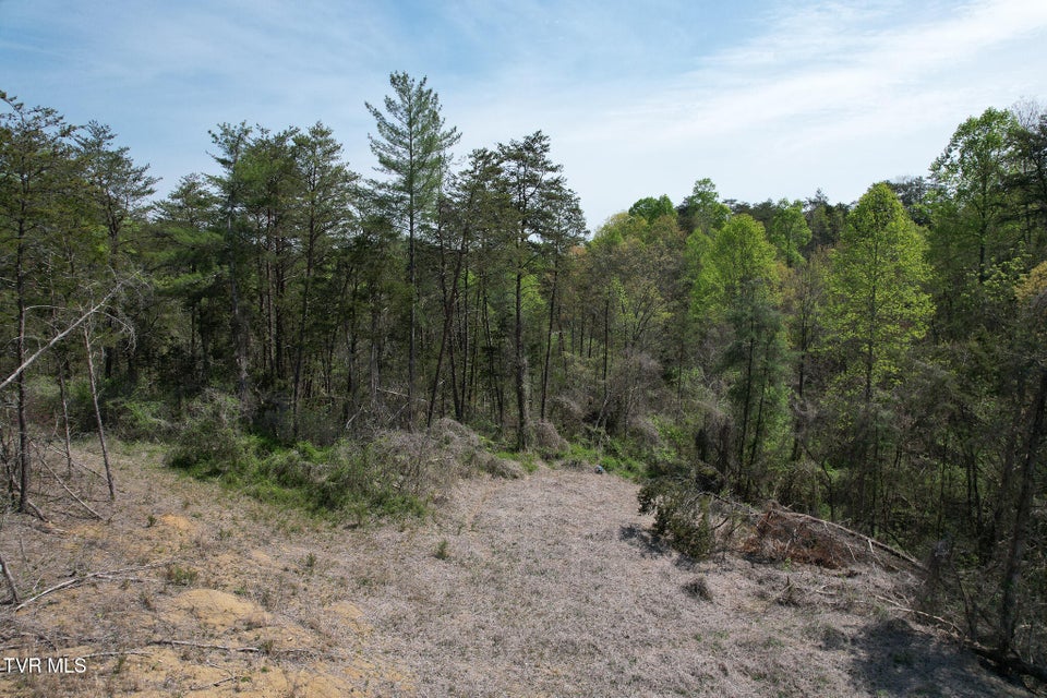 Photo #15: 0 Coy Bradley Lane