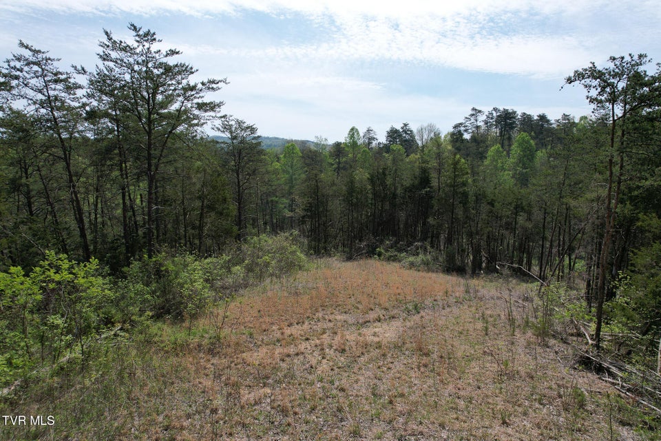 Photo #17: 0 Coy Bradley Lane