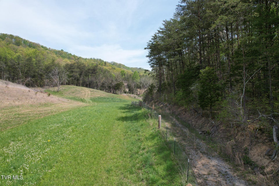 Photo #21: 0 Coy Bradley Lane