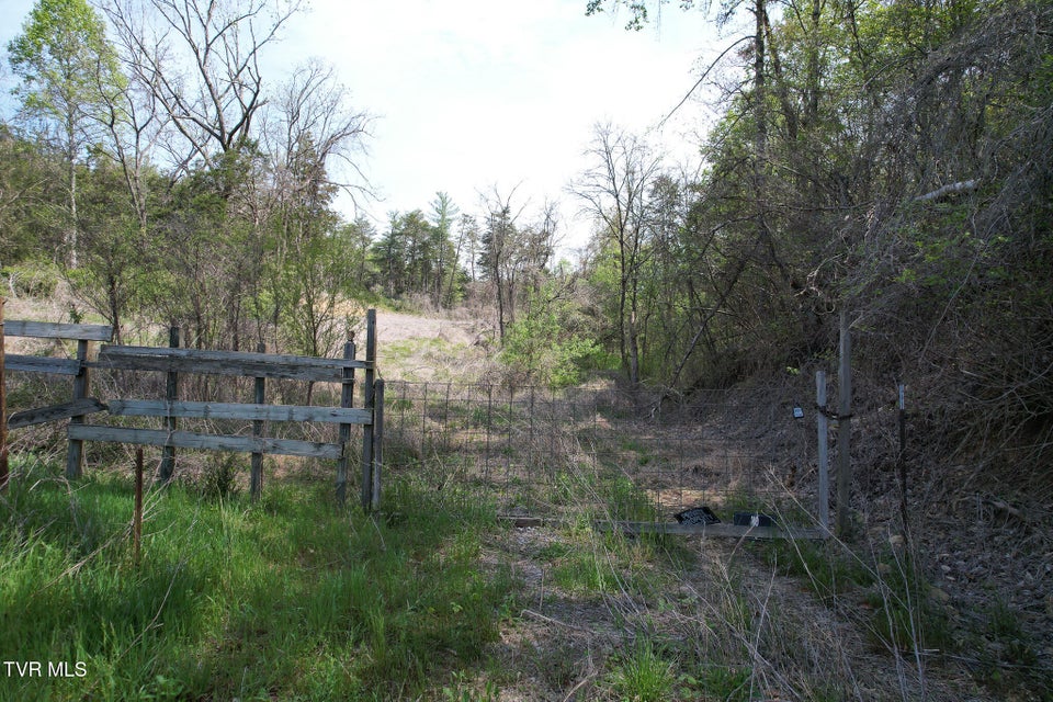 Photo #24: 0 Coy Bradley Lane