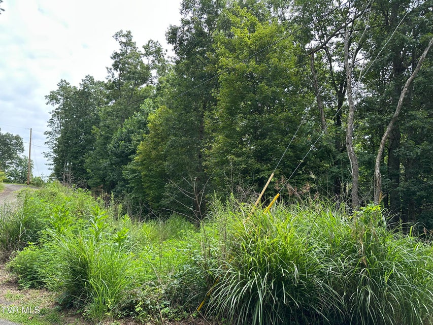 Photo #19: Tbd 000 Blackberry Hill Lane