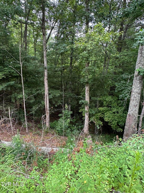 Photo #20: Tbd 000 Blackberry Hill Lane