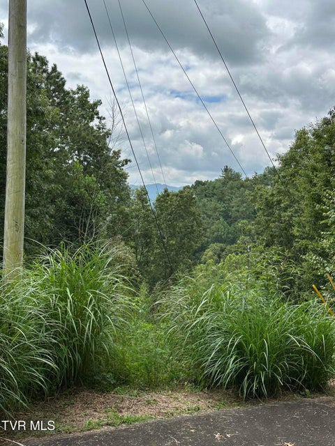 Photo #22: Tbd 000 Blackberry Hill Lane