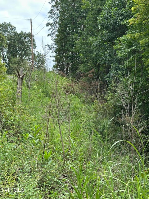 Photo #21: Tbd 000 Blackberry Hill Lane