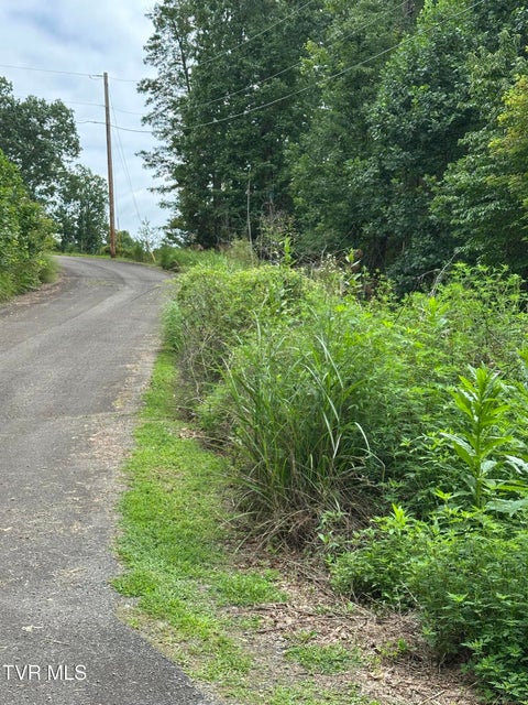 Photo #28: Tbd 000 Blackberry Hill Lane