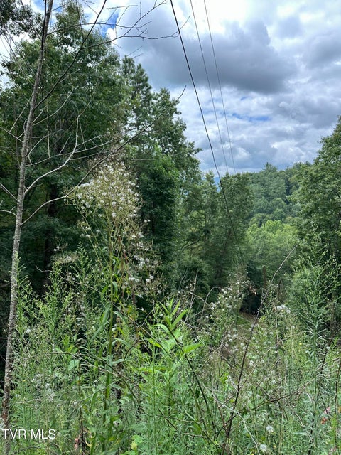 Photo #23: Tbd 000 Blackberry Hill Lane