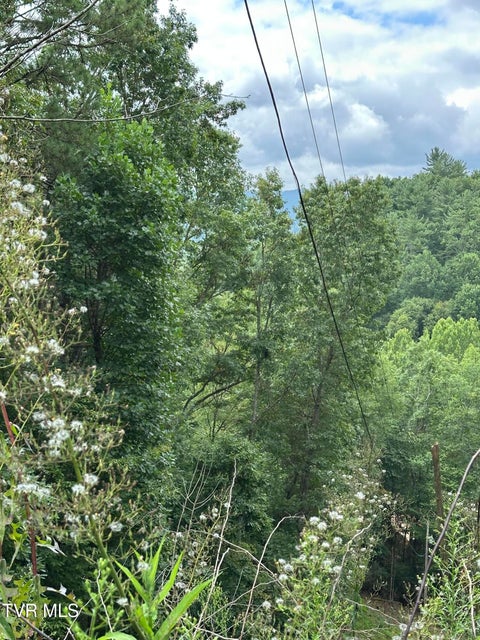 Photo #29: Tbd 000 Blackberry Hill Lane