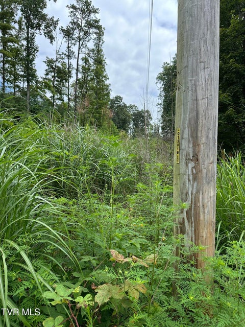 Photo #25: Tbd 000 Blackberry Hill Lane