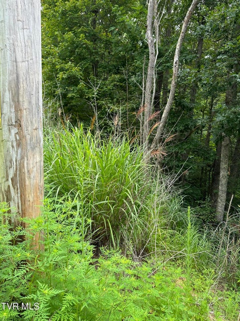 Photo #26: Tbd 000 Blackberry Hill Lane