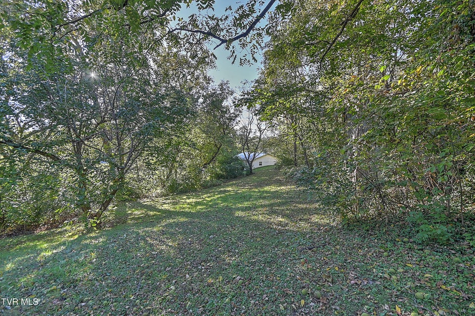 Photo #18: 1117 Old Jonesboro Road