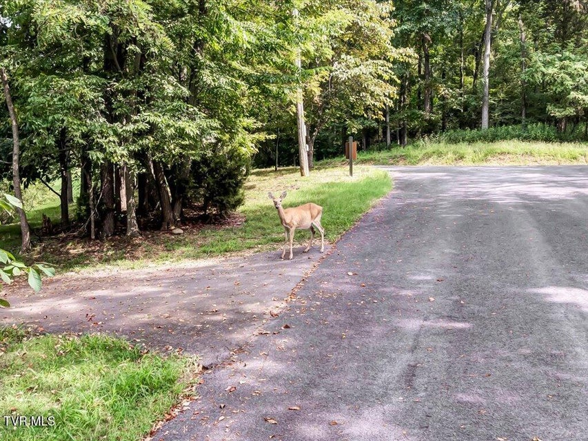 Photo #5: 1721 Taskigi Court