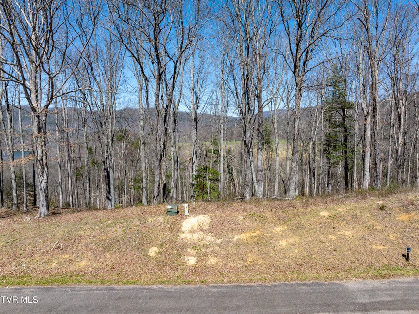 Photo #6: Lot 44 Of Dry Hill Road