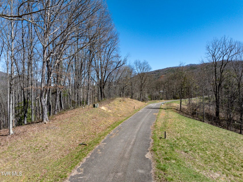 Photo #7: Lot 44 Of Dry Hill Road