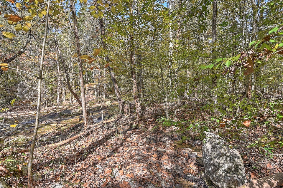 Photo #45: 163 Pendleton Road