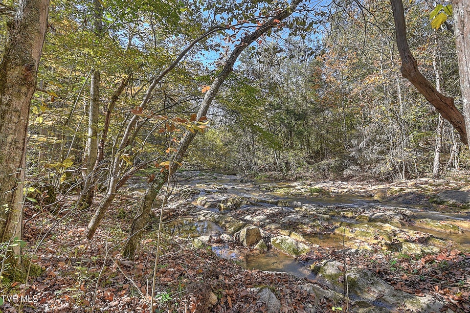 Photo #47: 163 Pendleton Road