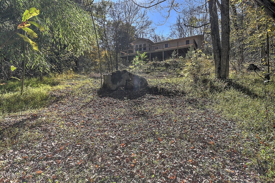 Photo #48: 163 Pendleton Road