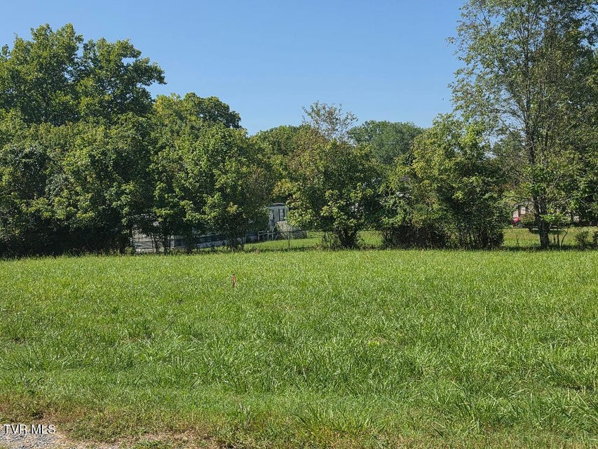 Photo #20: 135 Unaka Subdivision Road