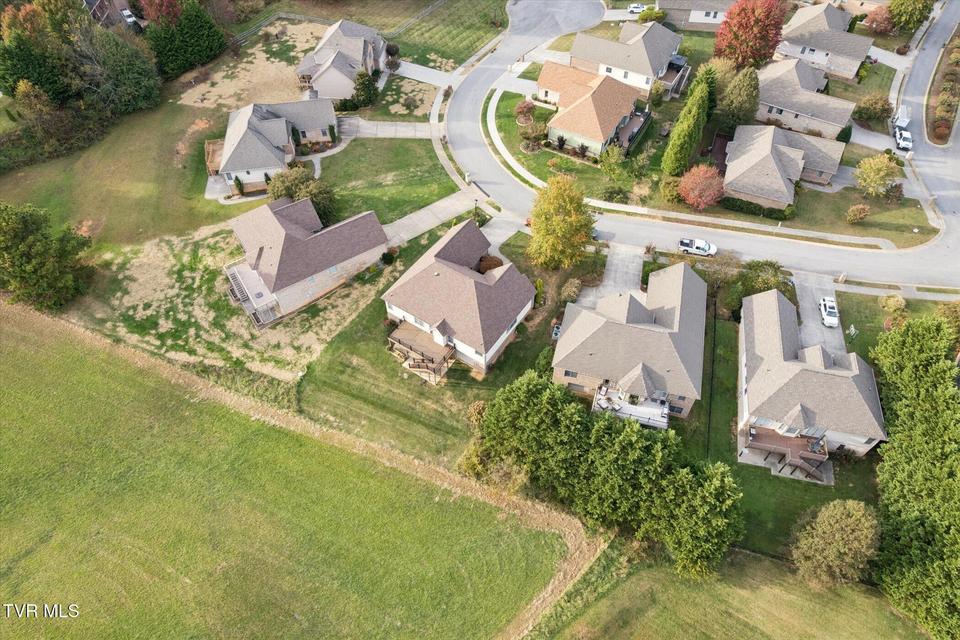 Photo #47: 7 Alta Tree Court