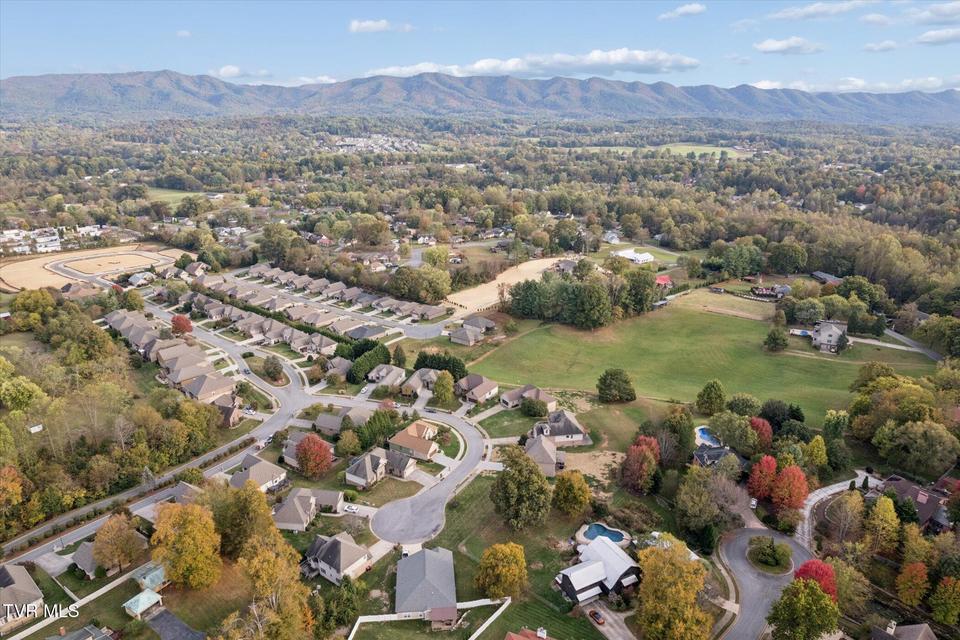 Photo #53: 7 Alta Tree Court