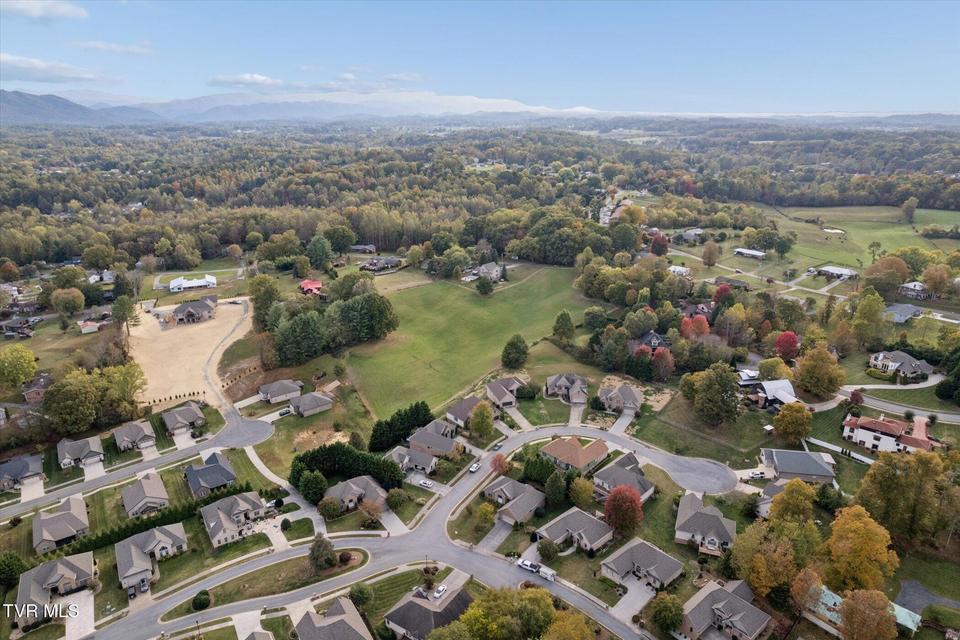 Photo #54: 7 Alta Tree Court