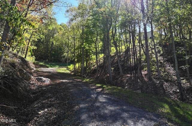 Photo #28: 2855 Kents Ridge Road