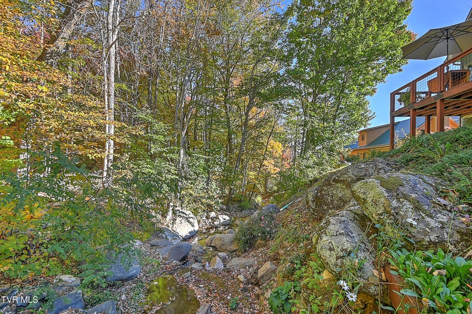 Photo #53: 122 Orchard Meadows  Lane 