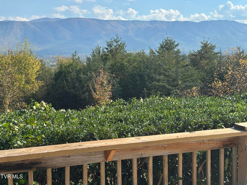 Photo #6: 456 Greystone Road