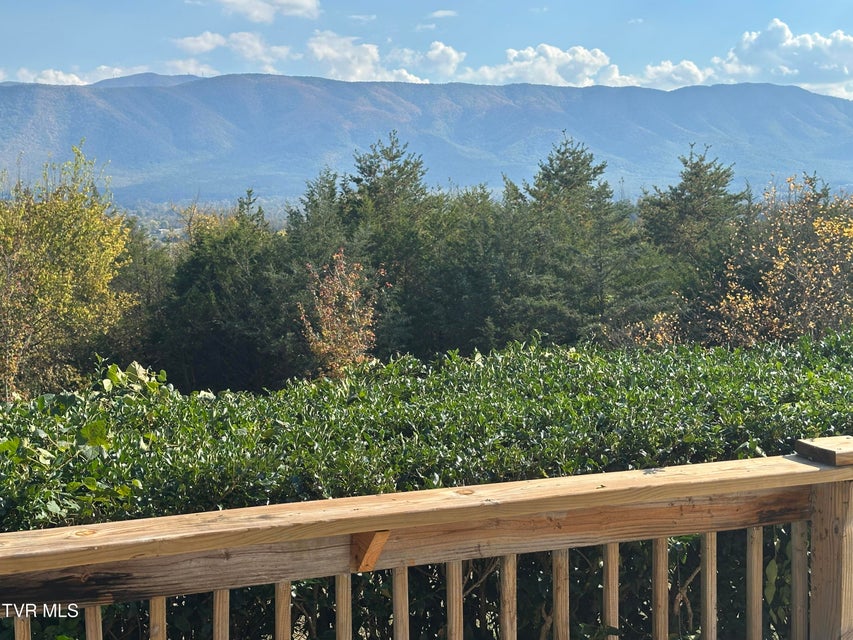 Photo #93: 456 Greystone Road