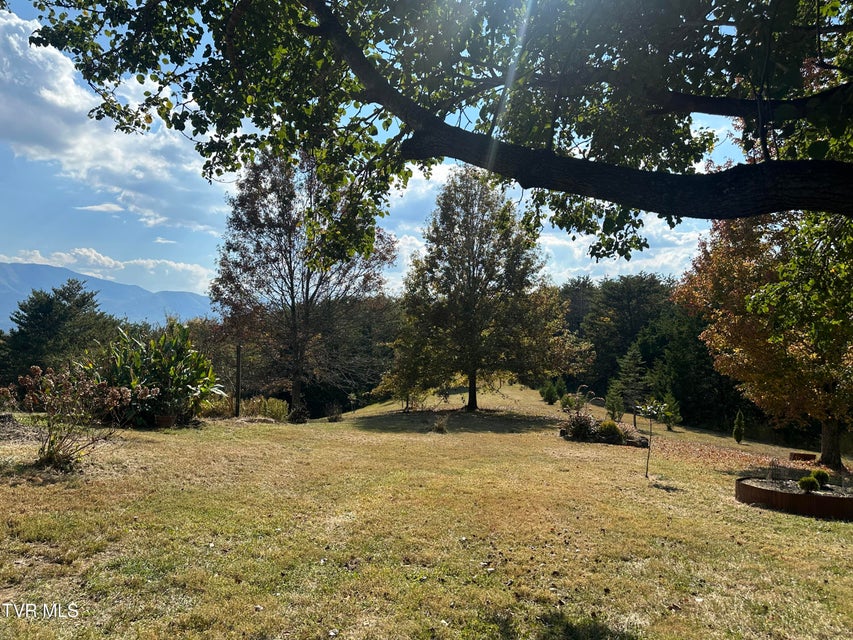 Photo #94: 456 Greystone Road