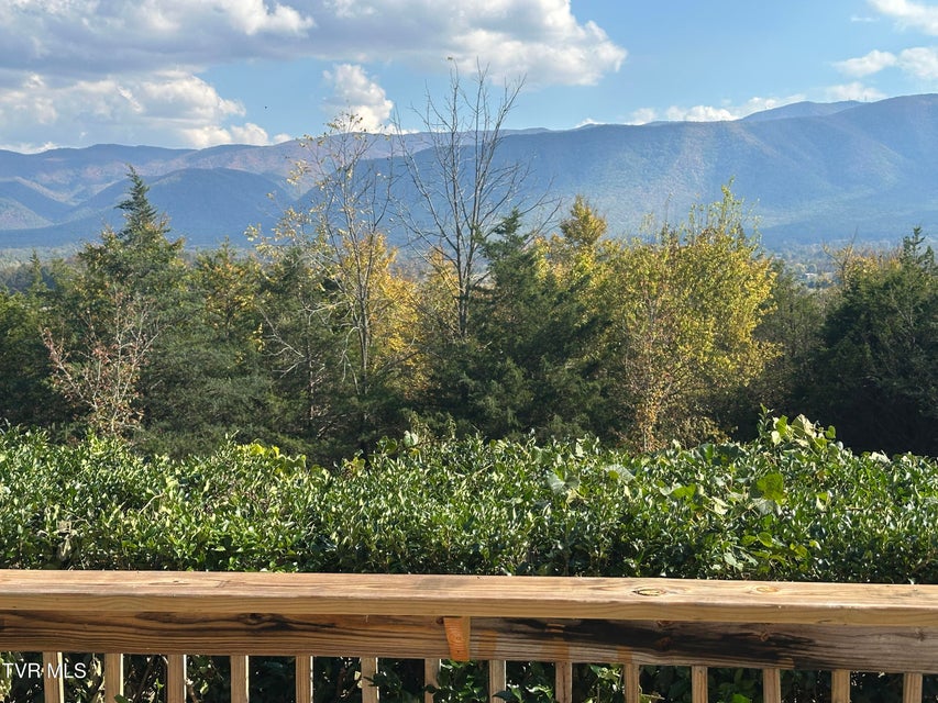 Photo #83: 456 Greystone Road