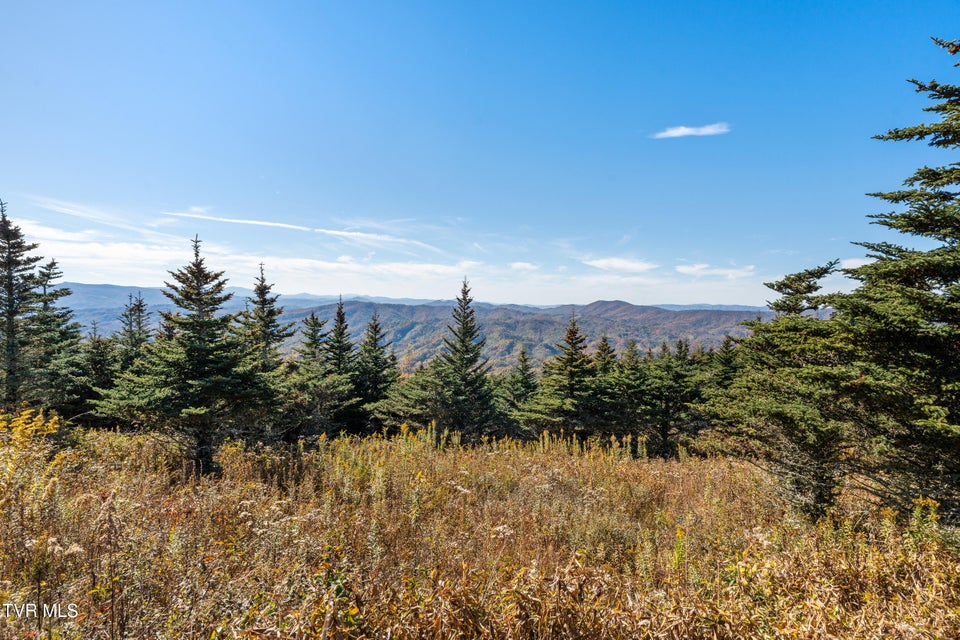 Photo #2: V6 Sun Shine Nvno 