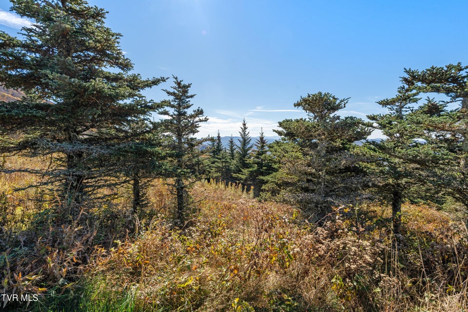 Photo #12: V6 Sun Shine Nvno 