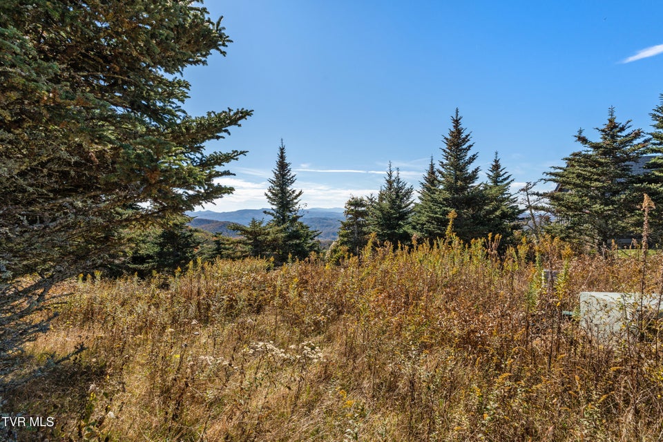 Photo #5: V6 Sun Shine Nvno 