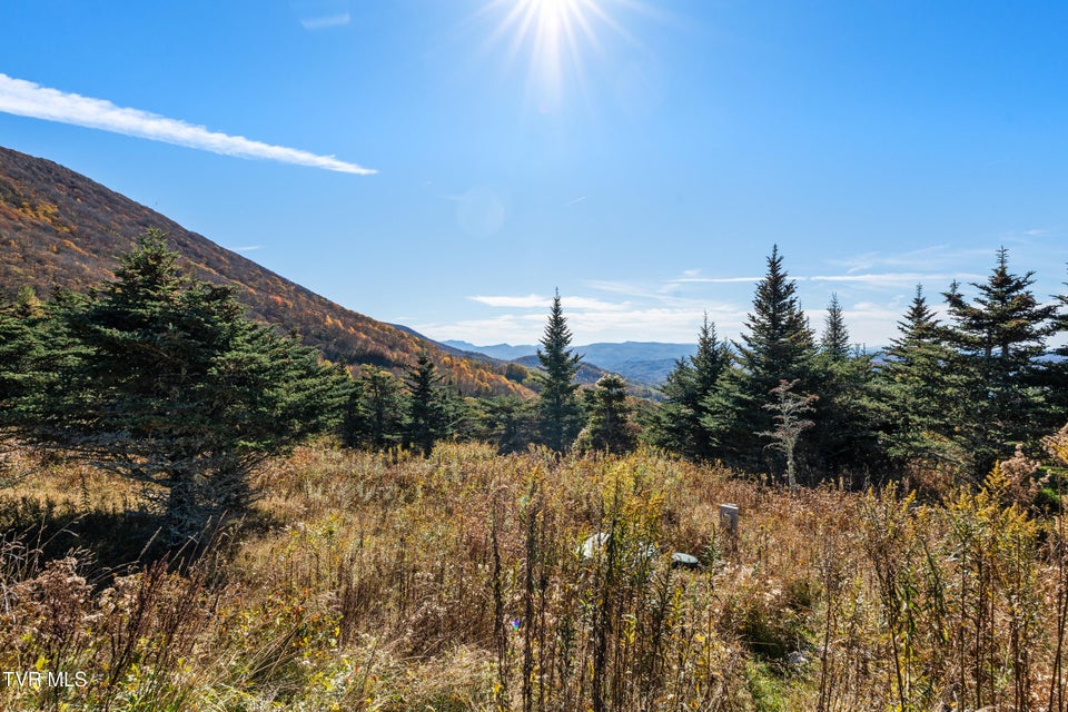 Photo #31: V6 Sun Shine Nvno 