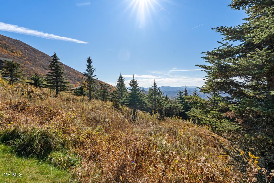 Photo #3: V6 Sun Shine Nvno 