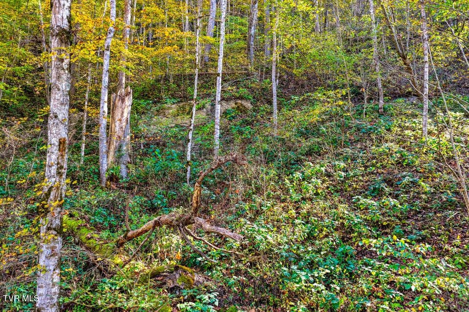 Photo #35: 275 Wake Forest Road