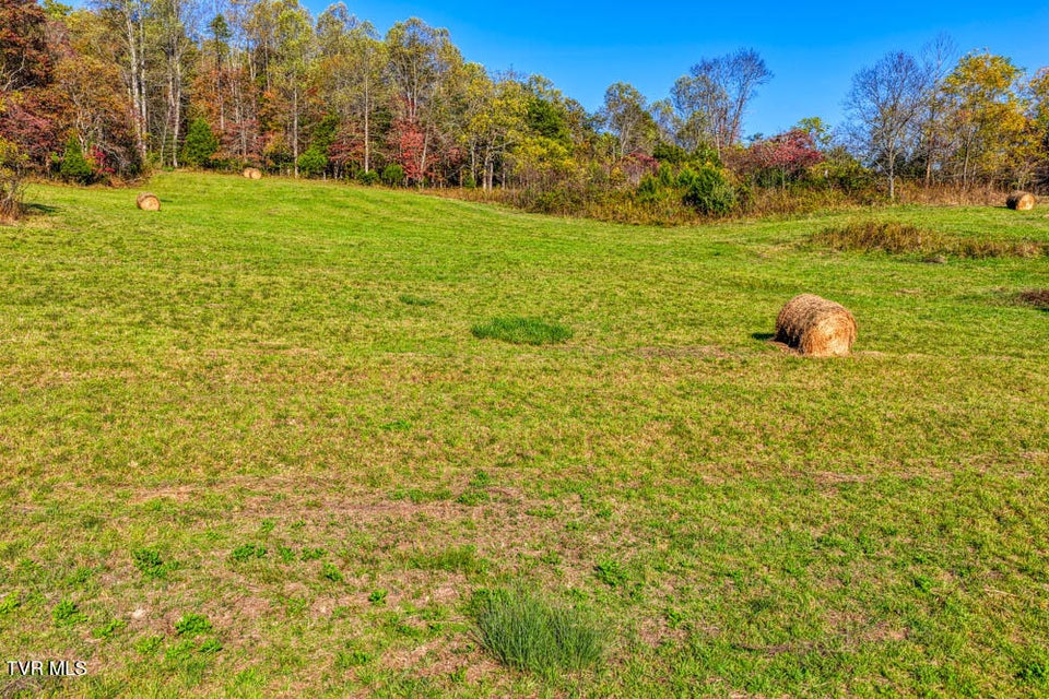 Photo #39: 275 Wake Forest Road