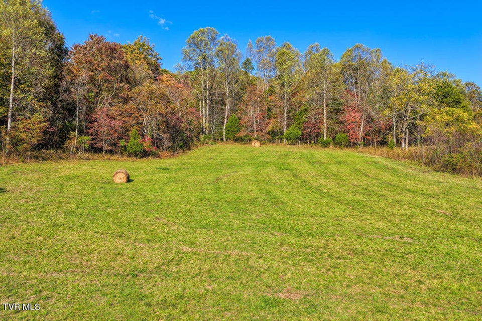 Photo #41: 275 Wake Forest Road