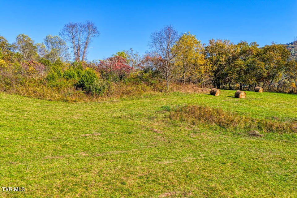 Photo #42: 275 Wake Forest Road