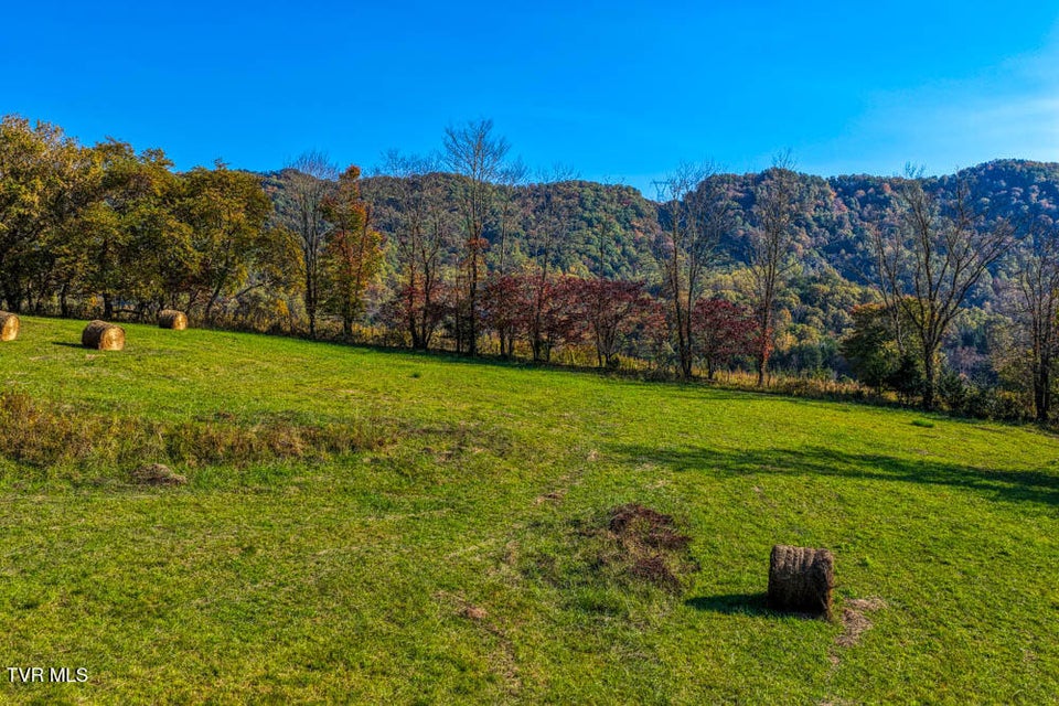 Photo #43: 275 Wake Forest Road