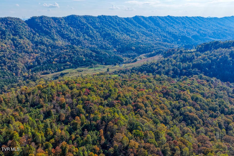 Photo #49: 275 Wake Forest Road