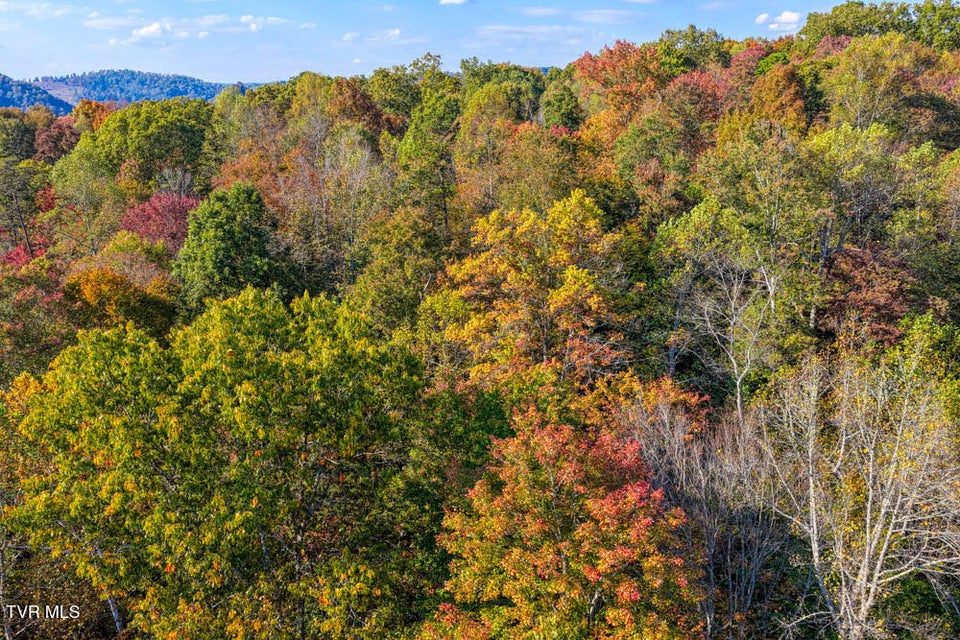 Photo #50: 275 Wake Forest Road