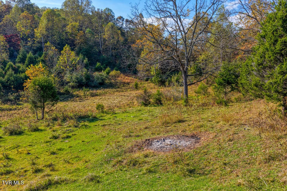 Photo #51: 275 Wake Forest Road